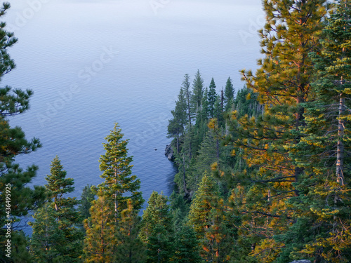 Morning Sunrise along lake and forest Lake Tahoe CA