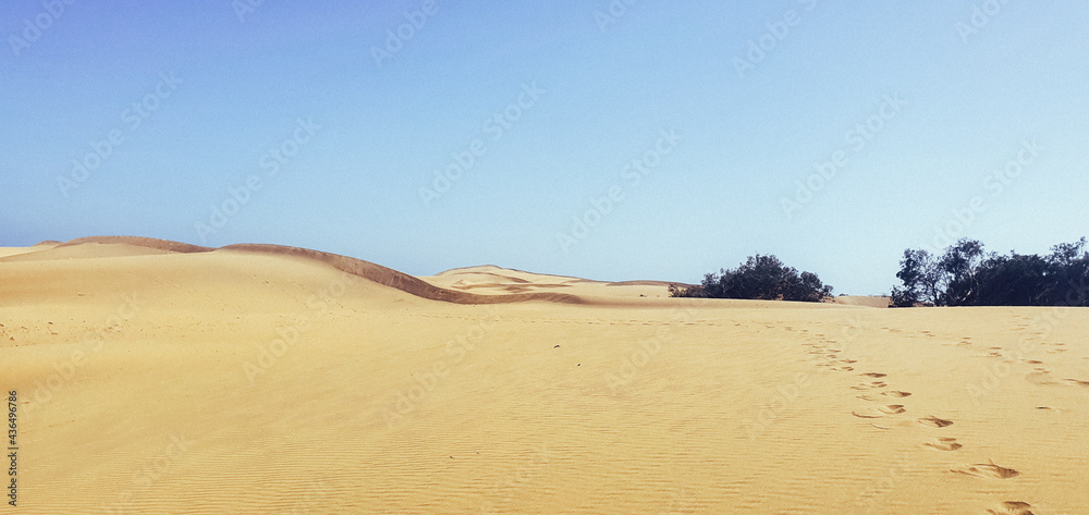 beautiful sandy desert with footprints of people