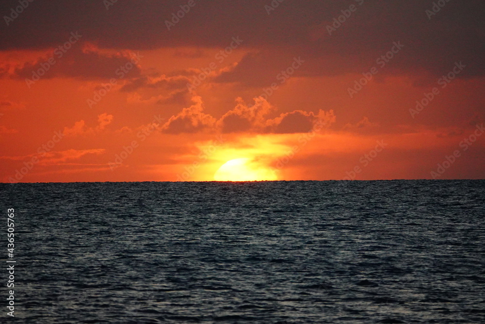 Fototapeta premium sunset over the sea