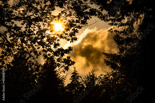 sun