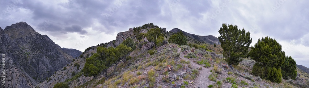 Naklejka premium Rocky Mountains Wasatch Front landscape views foothills of Mt Timpanogos, Mt Mahogany nature hiking trail, by Orem and Provo, Utah. United States. USA.