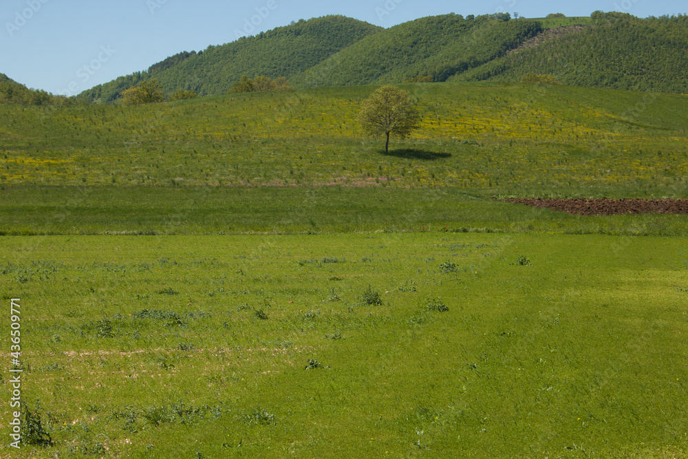 View of rural landscape in Umbria with green meadow in the spring region, park of Colfiorito, Italy