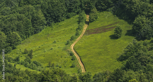 road going through green alpine meadow and forest