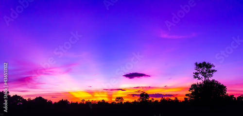 Safari theme.Amazing sunset and sunrise.Panorama silhouette tree in africa with sunset.Dark tree on open field dramatic sunrise.