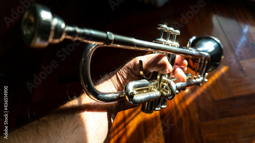 trumpet