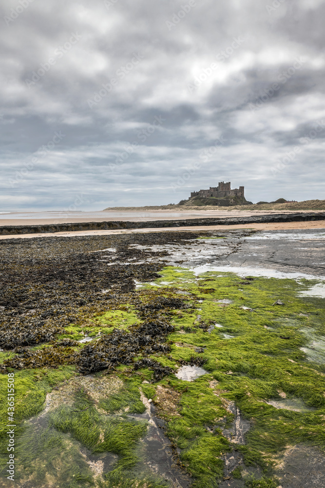 Bamburgh Castle at low tide