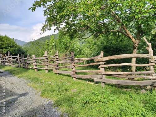 Village trail with wood fence. Path in the village. Village road with green trees