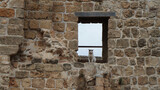 A white cat on a window in an old stone wall in Akko in Israel