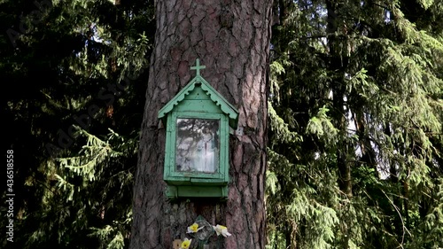 A chapel  installed on old pine tree locaten in Saukenai forest in Lithuania. According to local storytellers tales, serfs were once hanged on this pine branch, so the chapel is dedicated to them.  photo