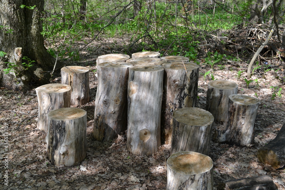 A place to relax in the woods with a table and seats. A place to relax in the woods with a table and seats.