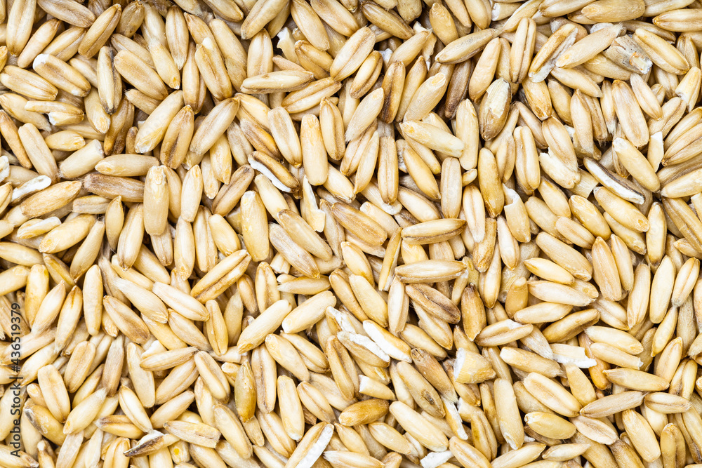 top view of unpolished oat grains top view of unpolished oat grains