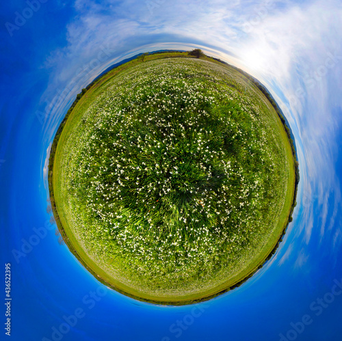 Narcissus planet asteroid