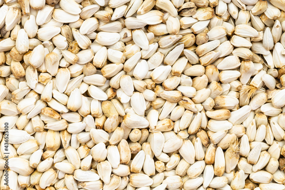 background - many safflower seeds background - many safflower seeds