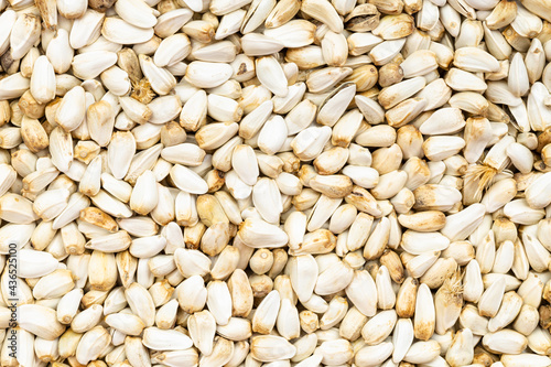 background - many safflower seeds photo