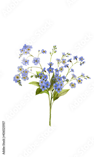 Watercolor Forget Me Nots Flower 