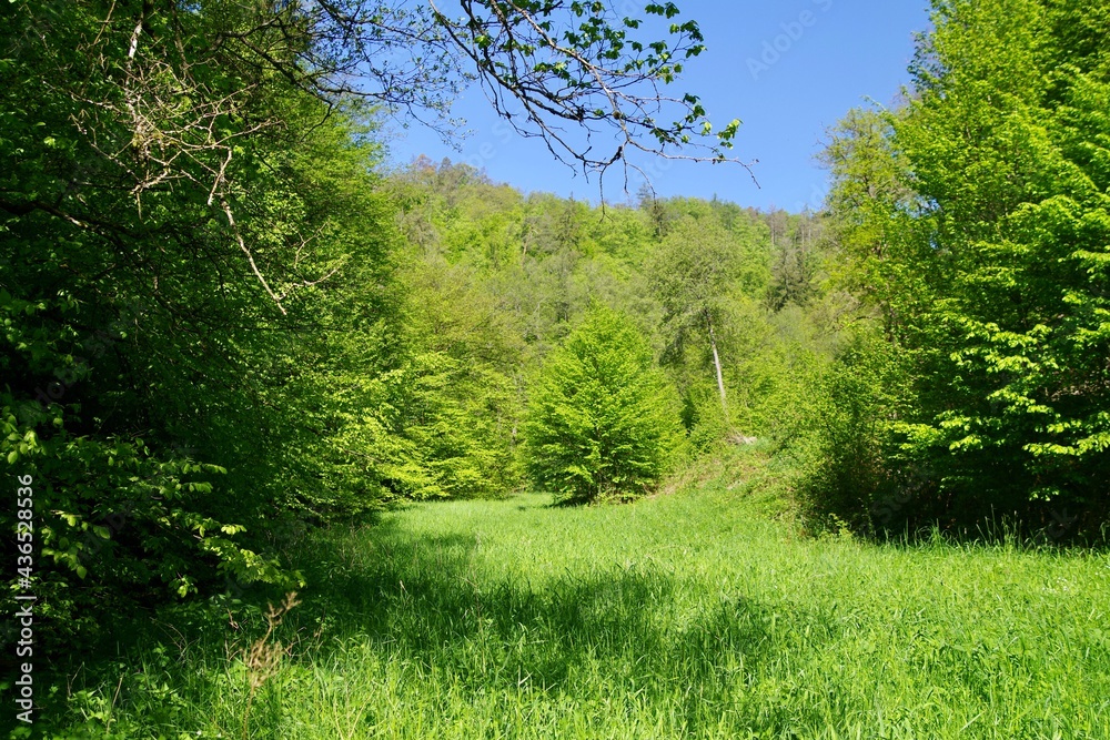 Obraz premium Landschaft