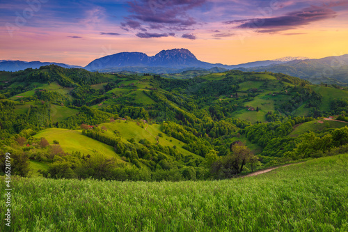 Summer sunset landscape with green fields and forests, Holbav, Romania © janoka82