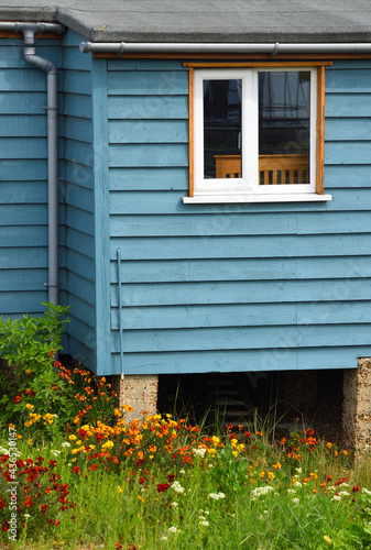 FELIXSTOWE  SUFFOLK  ENGLAND- MAY 28  2021   Blue cabin style dwelling with colourful flowers in bloom.