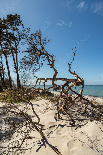 Fototapeta Naklejka Na Ścianę i Meble -  Baltic Sea Day At The Beach