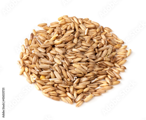 pile of wholegrain oat grains closeup on white