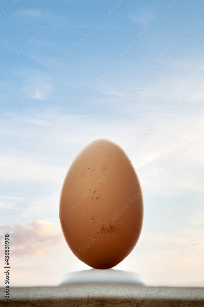 One brown egg morning blue sky background. Design, visual art, minimalism. Life goes on and easter food concept. One brown egg morning blue sky background. Design, visual art, minimalism. Life goes on and easter food concept.