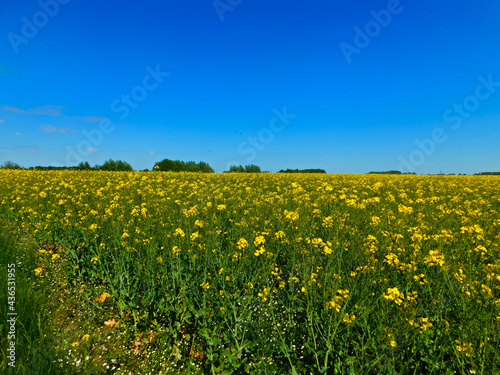 Farben der Felder und Wiesen im Frühling in der Uckermark © silbertaler