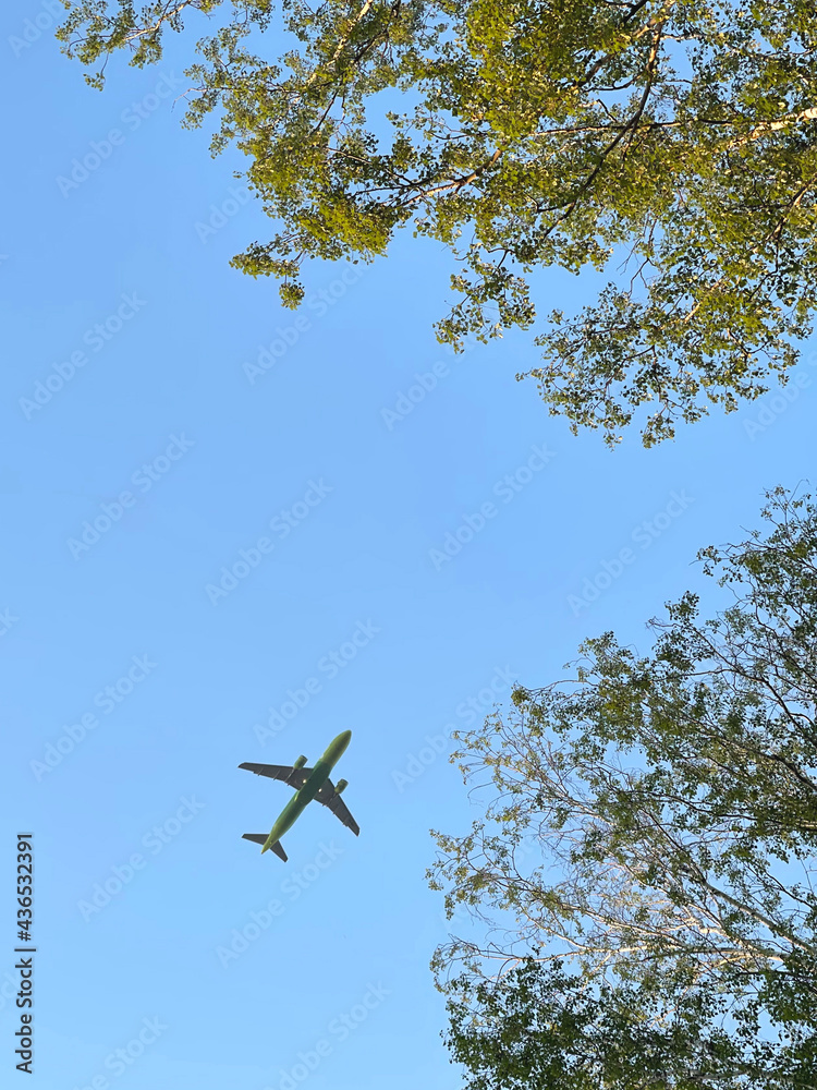 Airplane flying in the sky against the background of treetops Airplane flying in the sky against the background of treetops