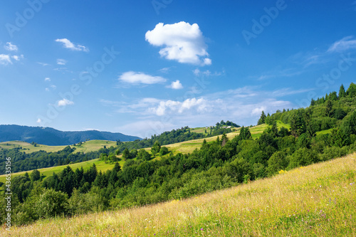 rural landscape in summer. beautiful nature scenery with fields on the hills rolling in to the distant valley. wonderful sunny weather with fluffy clouds on the sky