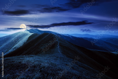 mountain landscape in summer at night. grassy meadows on the hills rolling in to the distant peak in full moon light © Pellinni