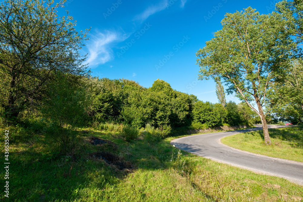 serpentine road winding uphill. tall trees along the pass in bright afternoon light in summertime