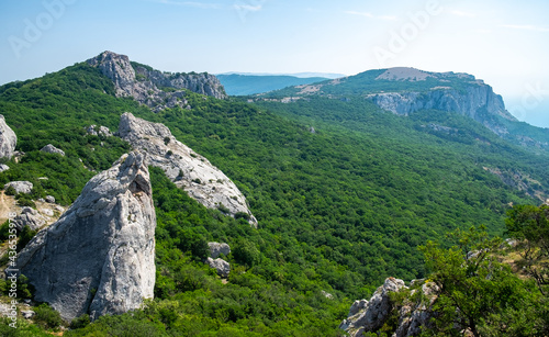 Mediterranean landscape. Forested rocks of the Black Sea coast of the southern coast of the Crimean Peninsula on a clear sunny day.