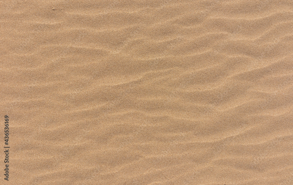 sea sand dune beach texture sea sand dune beach texture