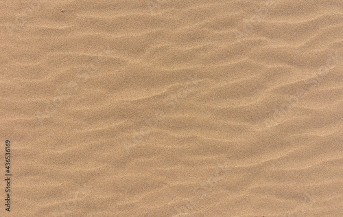 Fototapeta Naklejka Na Ścianę i Meble -  sea sand dune beach texture