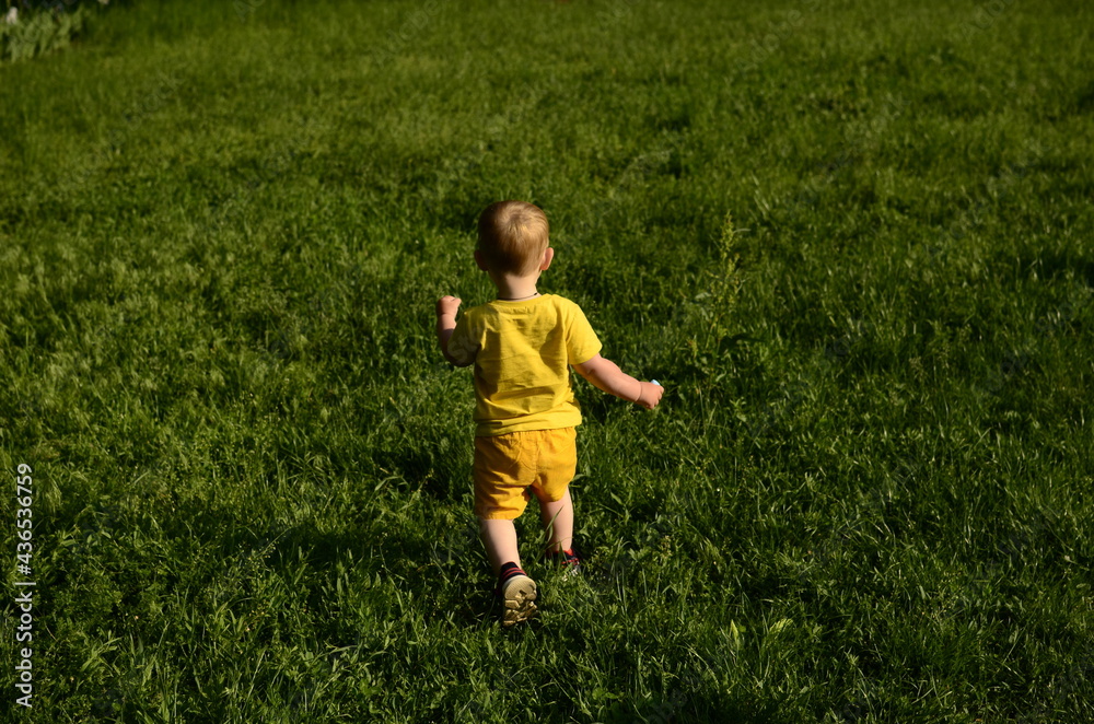 little boy in yellow runs on green grass view from the back little boy in yellow runs on green grass view from the back