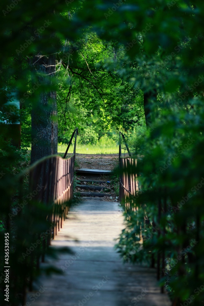 wooden bridge over river wooden bridge over river