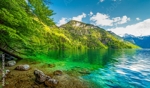 Bavarian Lake K  nigsee water view with green nature and mountain background