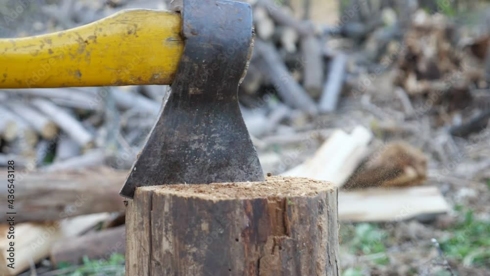 close-up of an ax driven into a tree stump, slow motion. close-up of an ax driven into a tree stump, slow motion.