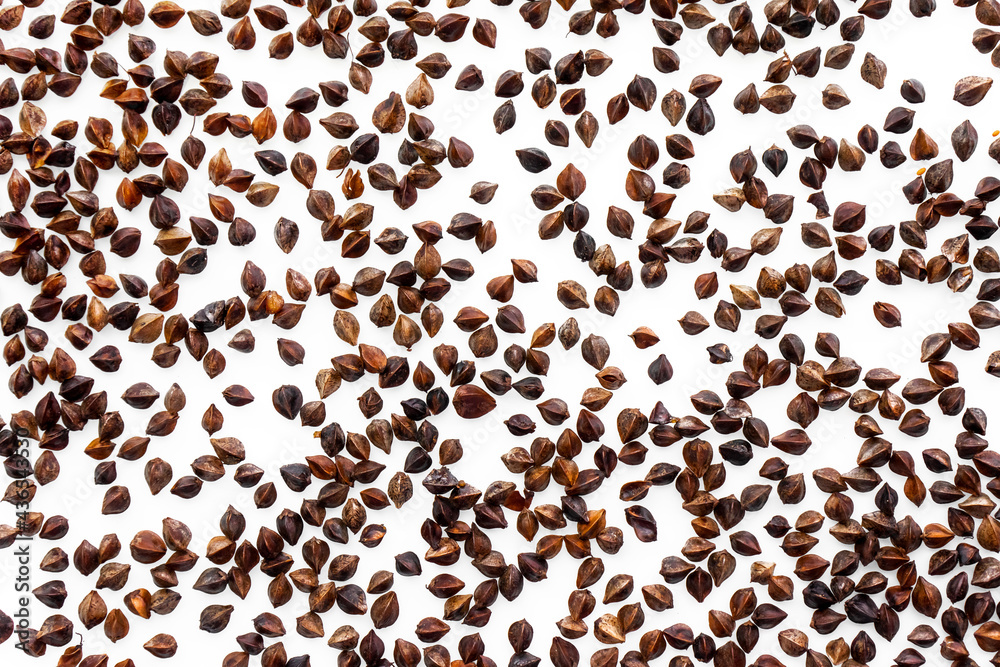 A background of unpeeled whole buckwheat seeds placed on a white background at a short distance from each other. Pseudocereal agricultural crop. View from above. A background of unpeeled whole buckwheat seeds placed on a white background at a short distance from each other. Pseudocereal agricultural crop. View from above.