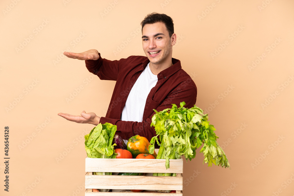 Farmer with freshly picked vegetables in a box isolated on beige background holding copyspace to insert an ad Farmer with freshly picked vegetables in a box isolated on beige background holding copyspace to insert an ad