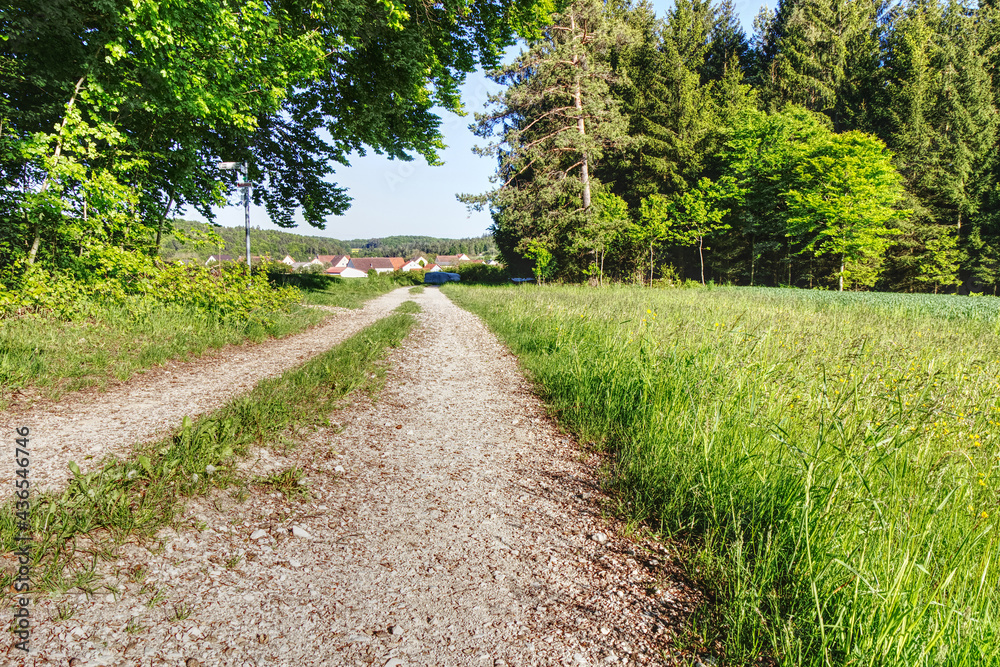 dirt track in upper franconia in the fields