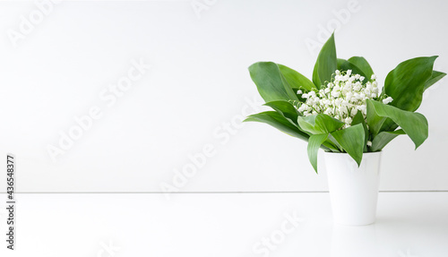 spring flowers lily of the valley and green leaves in white vase on white background. copy space