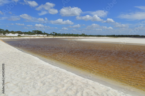 Camp Helen State Park, Florida, USA