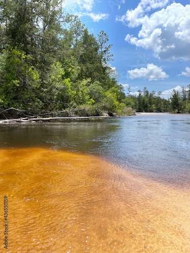 Εκτύπωση καμβά Contrasting tannic water at Blackwater River State Park Florida