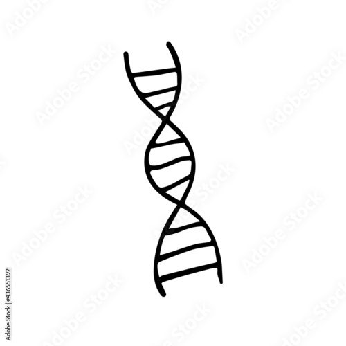 Vector hand drawn doodle sketch dna isolated on white background