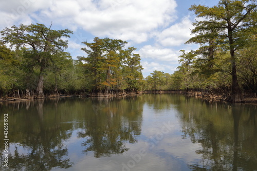 Choctawhatchee River, Florida, USA