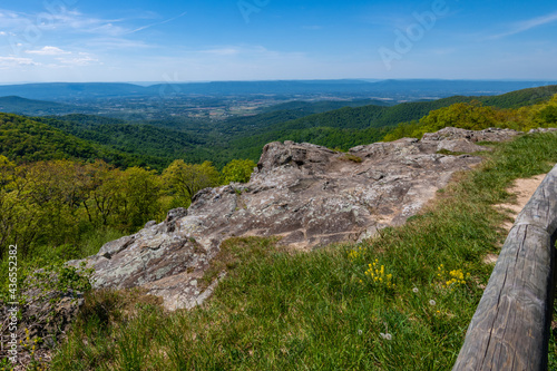 Spring Time in Shenandoah National Park