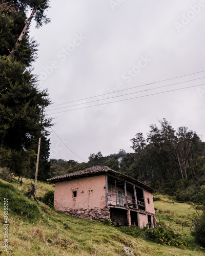 An old house in a farm field with a forest at its back