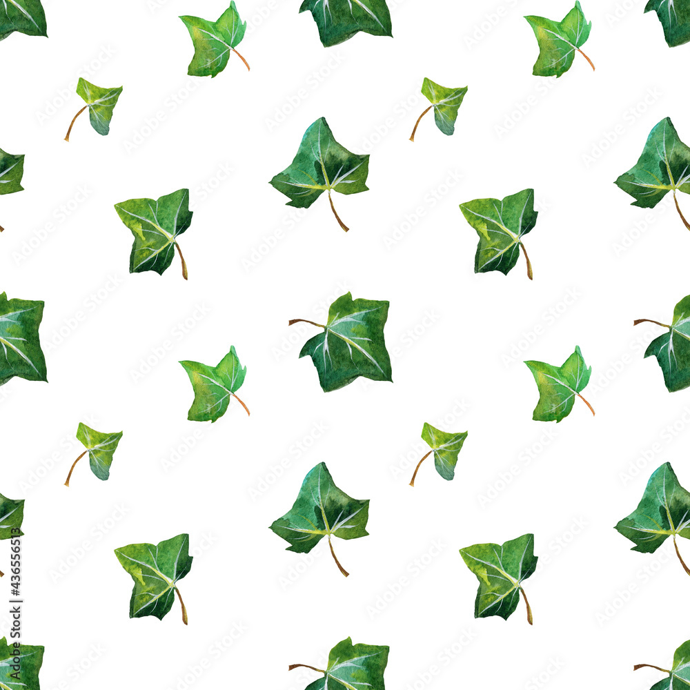 Seamless botanical  pattern with ivy leaves