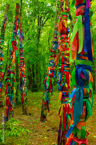 colorforest totems photo