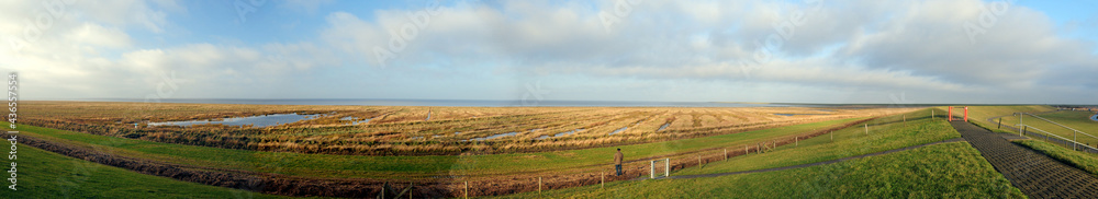 Panorama View From The Dike To The North Sea In The National Park Wadden Sea In PIlsum East Frisia On A Sunny Summer Day With A Clear Blue Sky And A Few Clouds